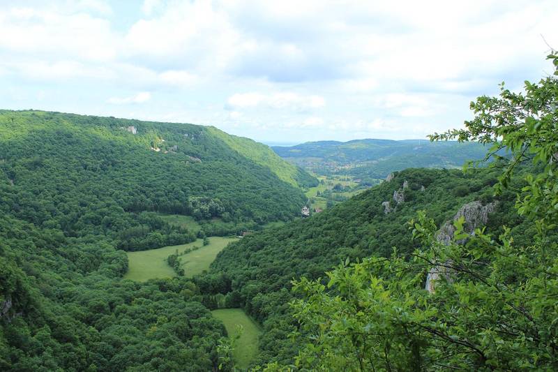 Randonnée à Arbois La reculée des Planches