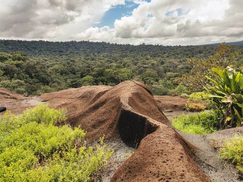 Randonnée Parc naturel régional de Guyane
