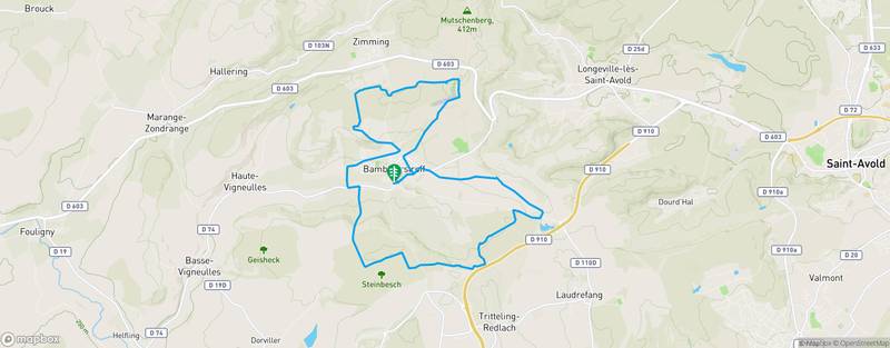 Randonnée à Bambiderstroff Découverte du Fort du Bambesch par bois et